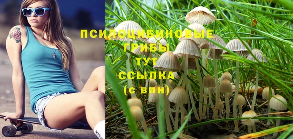 мет Ладушкин
