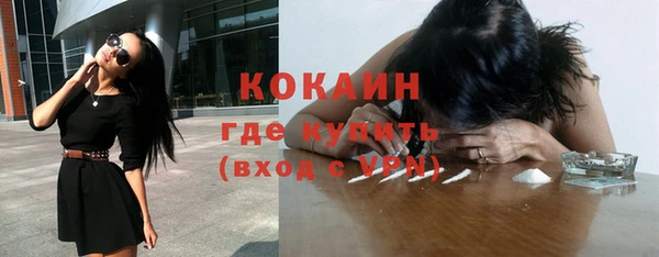 прущие грибы Чита