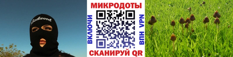 Галлюциногенные грибы MAGIC MUSHROOMS  Сургут 
