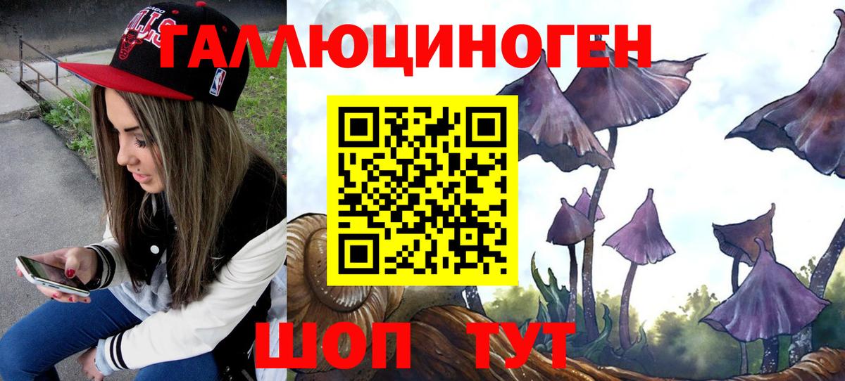 Сургут  где можно купить   Галлюциногенные грибы Cubensis  Вход с VPN  Псилоцибиновые грибы мухоморы 