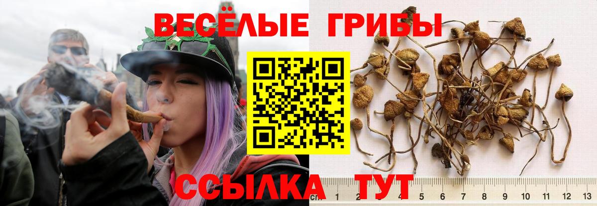 А ПВП СОЛЬ кристаллы  Сургут  Меф МЯУ МЯУ   Вход с VPN  Амфетамин кристаллы  ГАШ  Бошки Шишки 