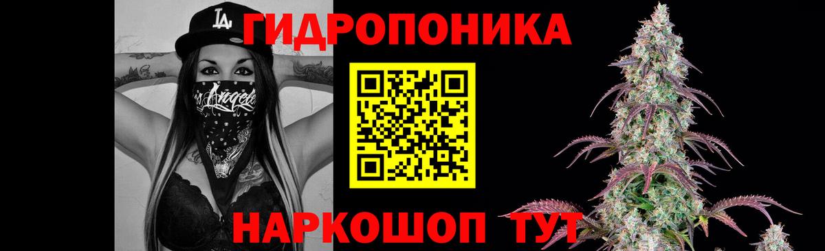 Марихуана план Сургут